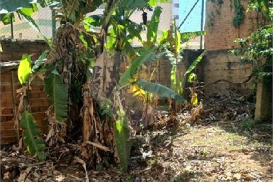 Terreno à venda em Tucuruvi, São Paulo, SP