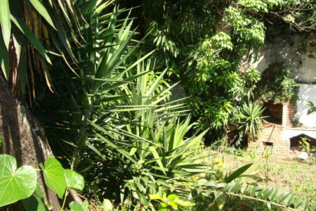 Casa à venda com 3 suítes em Jardim Leonor, São Paulo, SP