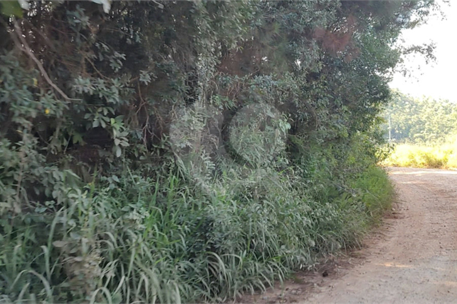 Terreno à venda em Luiz Fagundes, Mairiporã, SP