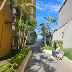 Apartamento à venda com 2 quartos em Vila Medeiros, São Paulo, SP
