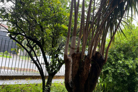 Casa à venda com 3 quartos em Bela Aliança, São Paulo, SP