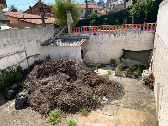 Terreno à venda em Santa Teresinha, São Paulo, SP