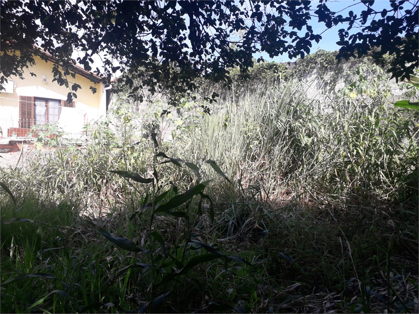 Casa à venda com 3 quartos, sendo 1 suíte, em Tremembé, São Paulo, SP