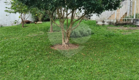 Terreno à venda em Vila Albertina, São Paulo, SP