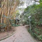 Apartamento à venda com 3 suítes em Bosque da Saúde, São Paulo, SP