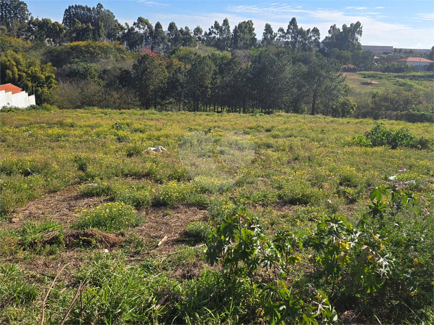 Terreno à venda em Vila Sonia, Itapetininga, SP