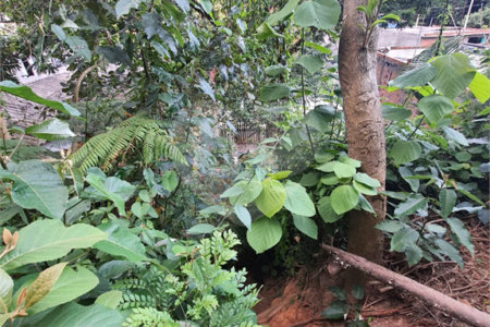 Loteamento à venda em Jardim Amália, São Paulo, SP