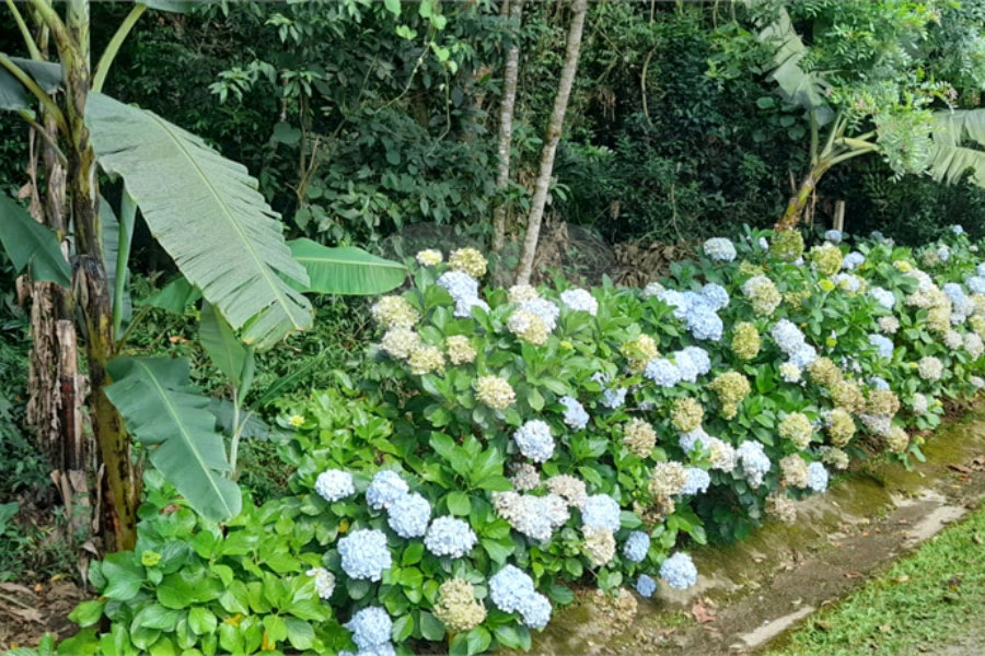 Terreno à venda em Roseira, Mairiporã, SP