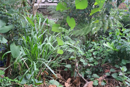 Loteamento à venda em Jardim Amália, São Paulo, SP