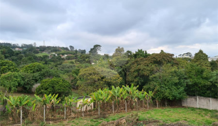 Terreno à venda em Bosque, Vinhedo, SP