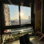 Apartamento à venda com 2 quartos, sendo 1 suíte, em Jardim São Paulo(zona Norte), São Paulo, SP