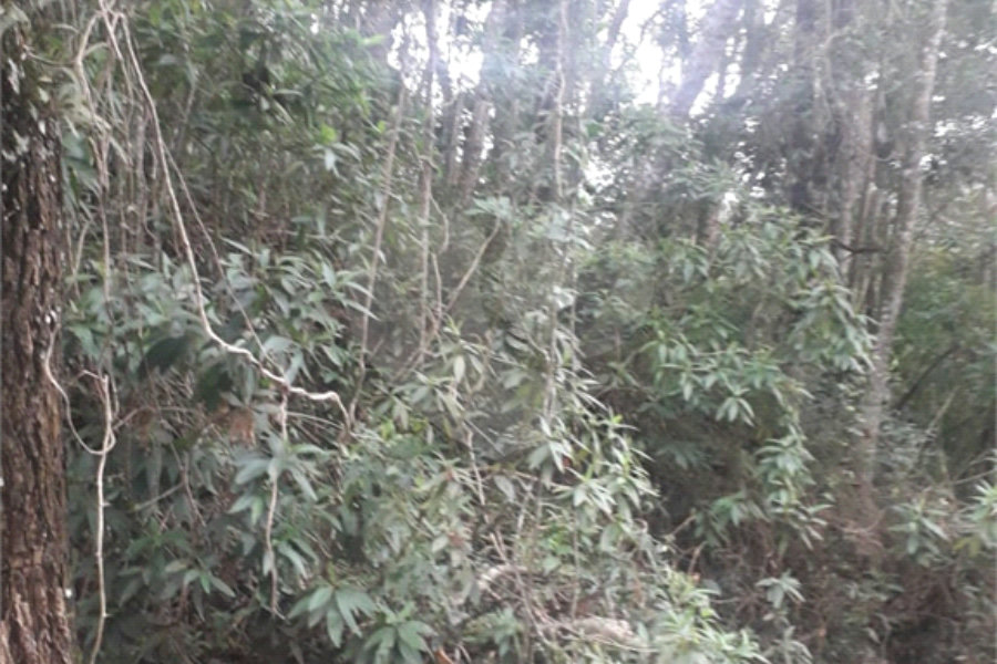 Terreno à venda em Suasalito, Mairiporã, SP