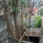 Sobrado à venda com 2 quartos em Vila Mazzei, São Paulo, SP