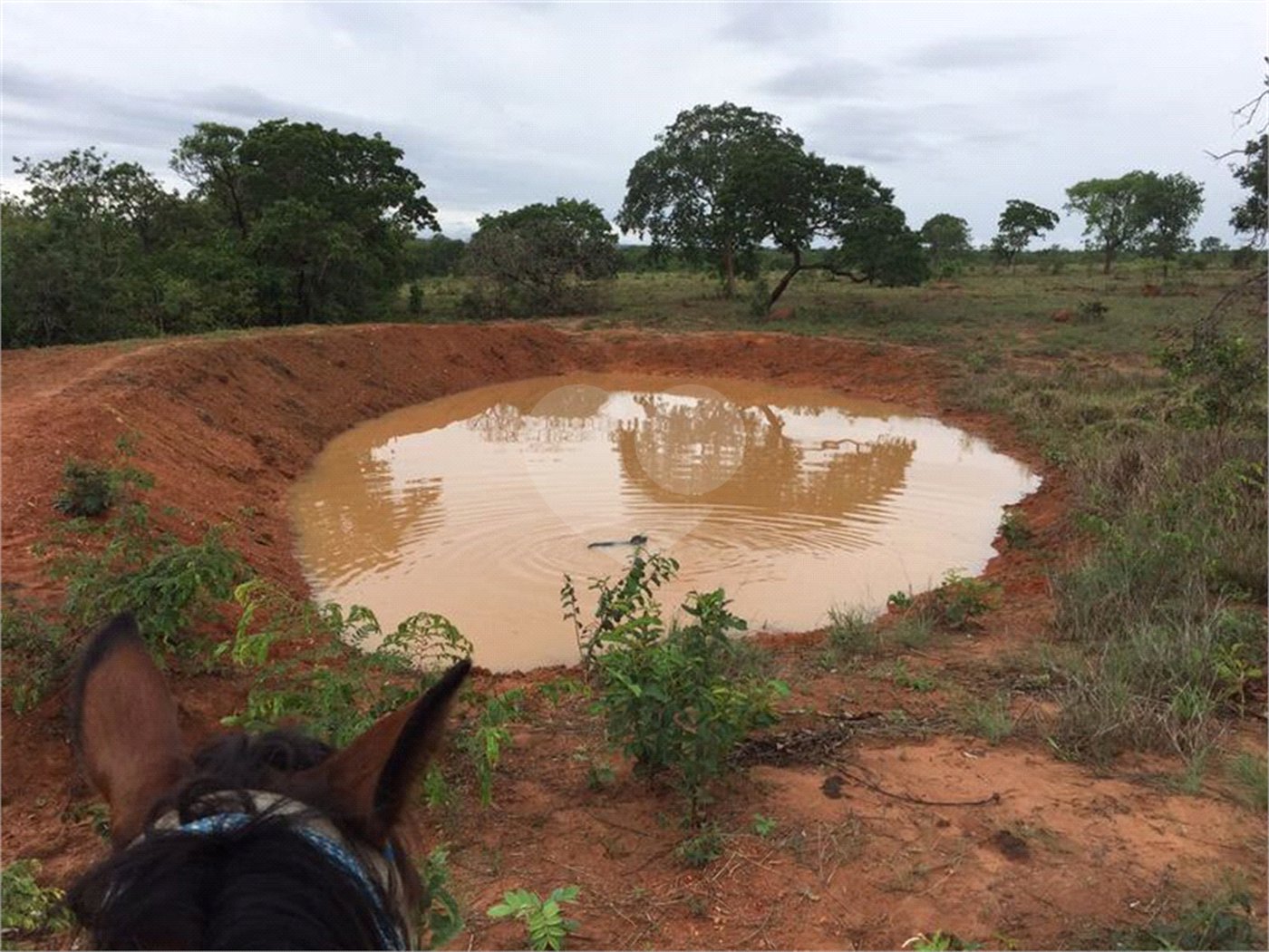 Fazenda à venda com 2 quartos em Canabrava, João Pinheiro, MG