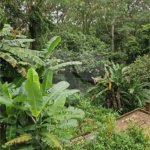 Terreno à venda em Vila Albertina, São Paulo, SP