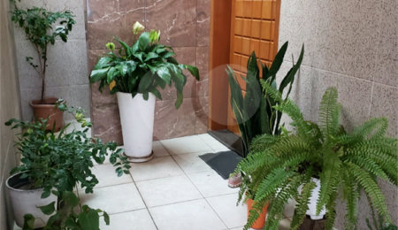 Sobrado à venda com 3 suítes em Vila Maria, São Paulo, SP