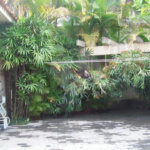 Sobrado à venda com 5 quartos, sendo 2 suítes, em Jardim São Bento, São Paulo, SP
