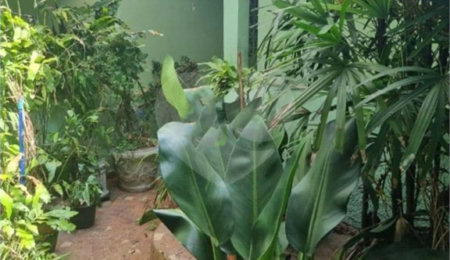 Casa de Vila à venda com 3 quartos em Jardim São Roque, São Paulo, SP