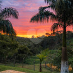 Chácara à venda ou para alugar com 5 quartos, sendo 4 suítes,  em Ouro Fino, Santa Isabel, SP