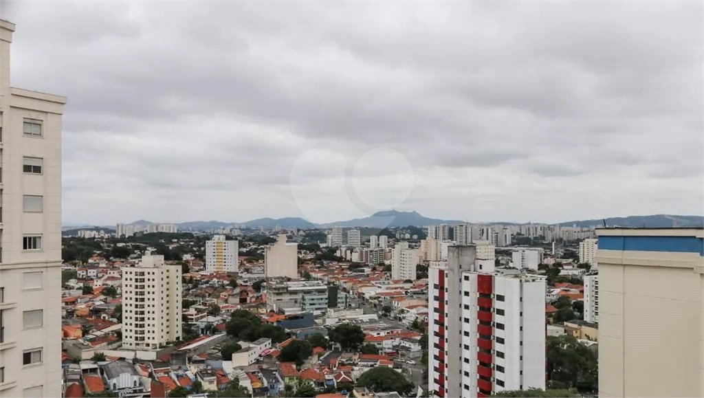 Apartamento à venda com 3 suítes em Vila Ipojuca, São Paulo, SP