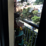 Apartamento à venda com 2 quartos em Conjunto Residencial Vista Verde, São Paulo, SP