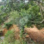 Terreno à venda em Parque Maringá, Arujá, SP