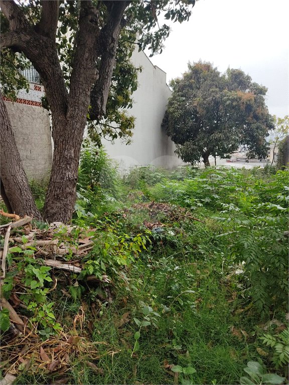Terreno à venda em Vila Constança, São Paulo, SP