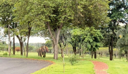 Terreno à venda em Vila do Golf, Ribeirão Preto, SP