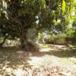 Terreno à venda em Vila Guido, Itu, SP
