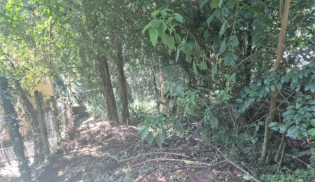 Condomínio à venda em Serra da Cantareira, Mairiporã, SP