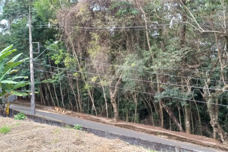Terreno à venda em Jardim América, Bragança Paulista, SP
