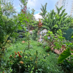 Casa à venda ou para alugar com 4 quartos, sendo 2 suítes, em Vila Mazzei, São Paulo, SP