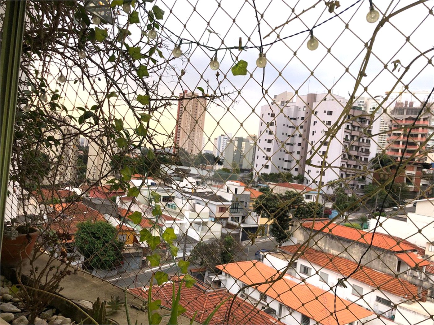 Apartamento à venda ou para alugar com 3 quartos, sendo 1 suíte, em Alto da Lapa, São Paulo, SP