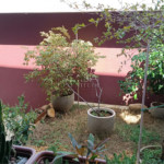Casa à venda com 3 quartos, sendo 1 suíte,  em Jardim Americano, Sorocaba, SP