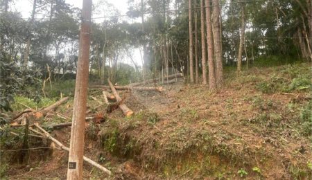 Terreno à venda no Centro (mailasqui), São Roque, SP