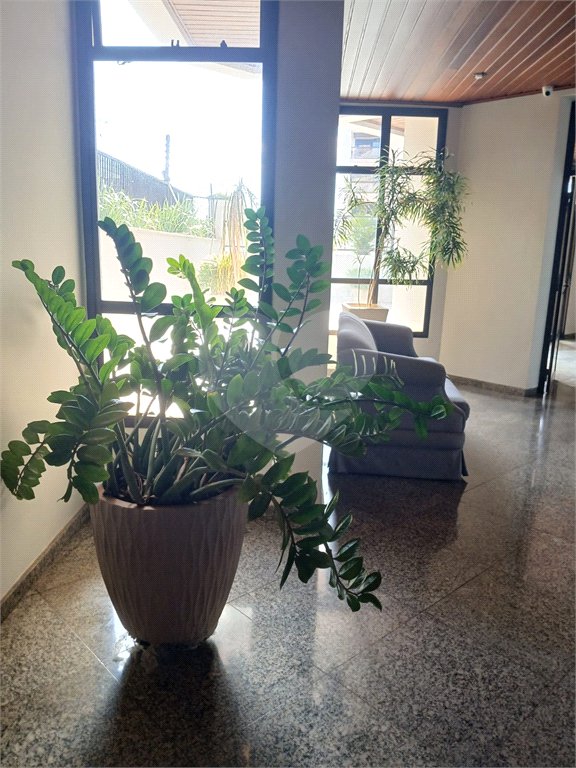 Apartamento à venda com 3 quartos, sendo 1 suíte,  em Vila Redentora, São José do Rio Preto, SP
