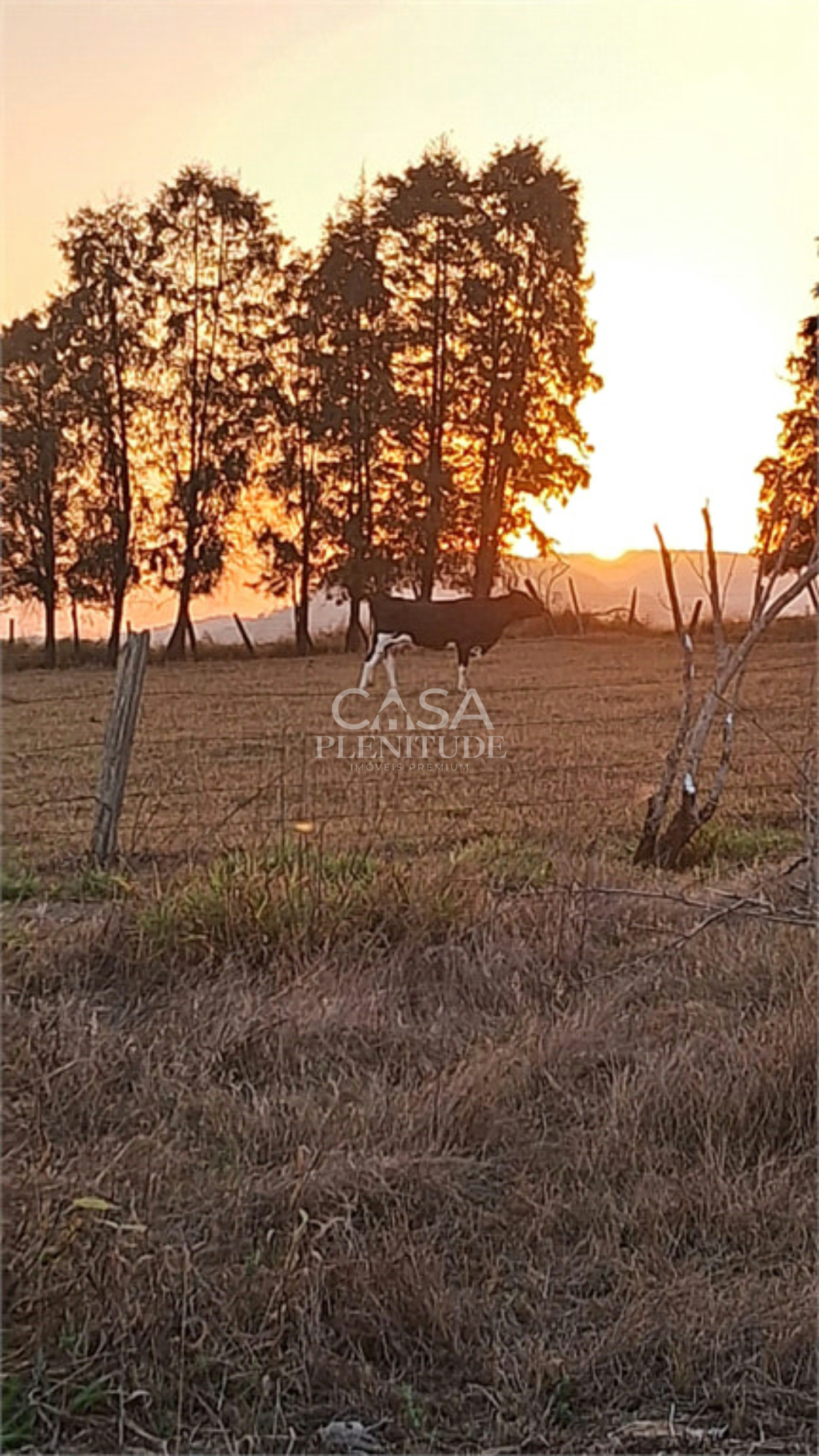 Chácara à venda com 4 quartos, sendo 1 suíte, em Zona Rural, Porangaba, SP