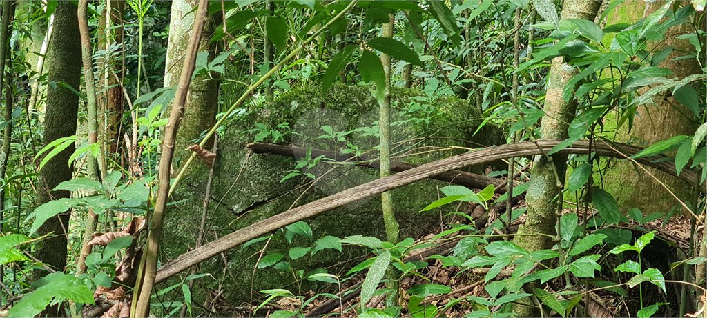 Terreno à venda em Caraguatá, Mairiporã, SP