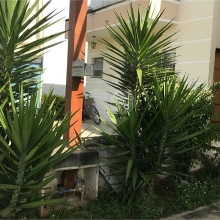 Casa à venda com 3 quartos, sendo 1 suíte,  no condomínio Horto Florestal II, Sorocaba - SP