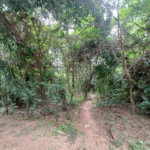 Casa em condomínio à venda com 3 suítes em Jardim Residencial Chácara Ondina, Sorocaba, SP