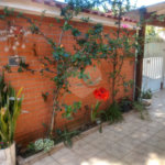 Sobrado à venda com 3 quartos em Horto, São Paulo, SP