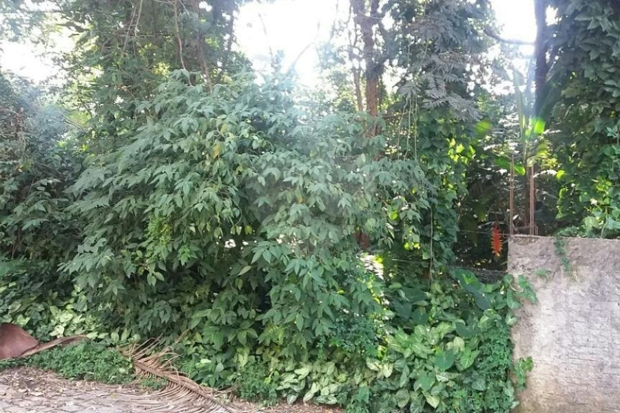 Terreno à venda em Tremembé, São Paulo, SP