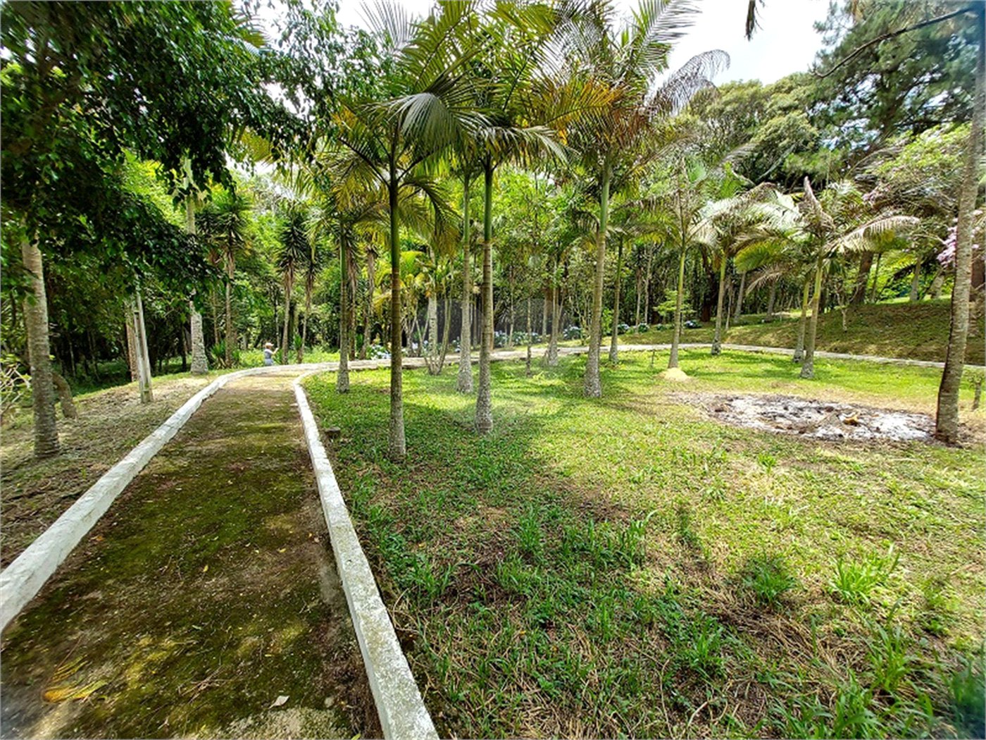 Casa à venda com 4 quartos, sendo 1 suíte, no Centro, Ibiúna, SP