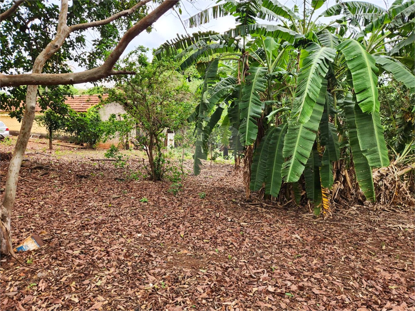 Chácara à venda com 2 quartos em Jardim Califórnia, Araraquara, SP