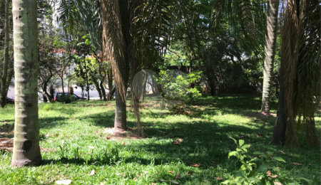 Terreno à venda em Lar São Paulo, São Paulo, SP