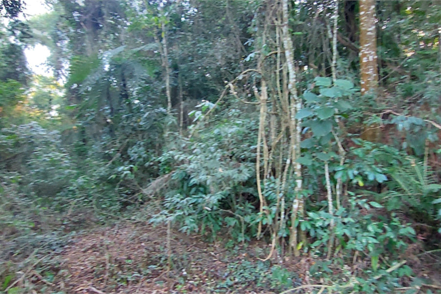 Terreno à venda no condomínio Sausalito, Mairiporã - SP