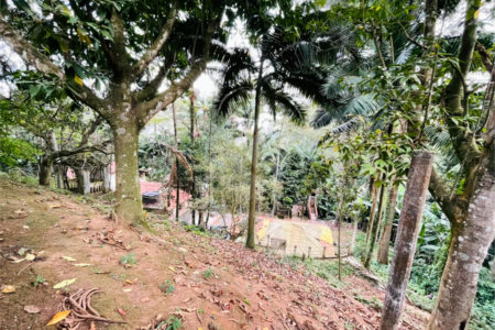 Terreno à venda em Tucuruvi, São Paulo, SP