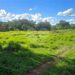 Terreno à venda em Parque Planalto, Araraquara, SP