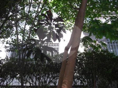 Terreno à venda com 4 quartos em Santana, São Paulo, SP
