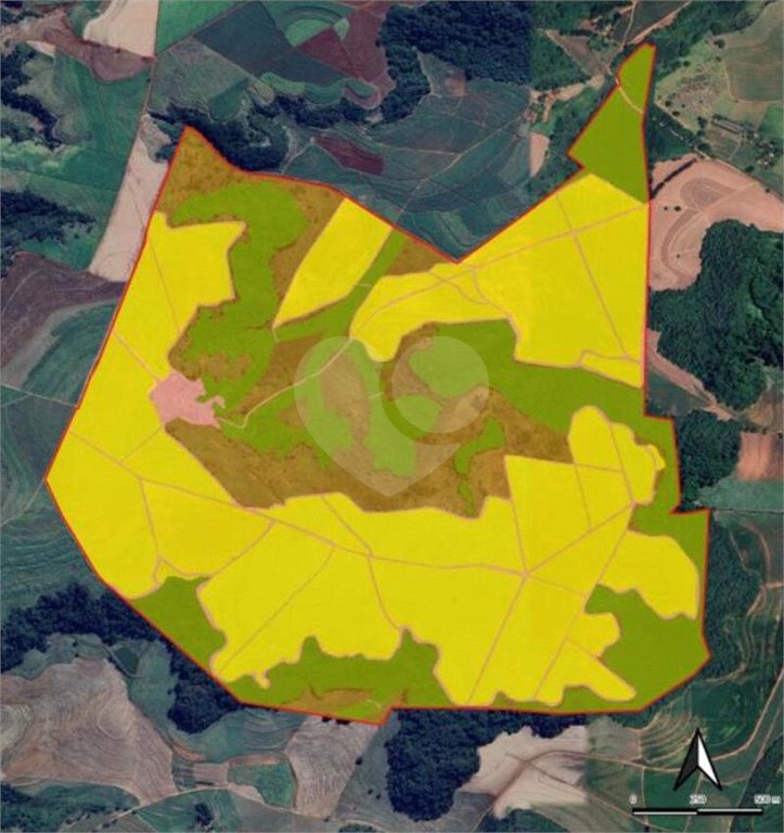 Fazenda à venda com 7 quartos em Área Rural de Guarapiranga, Ribeirão Bonito, SP